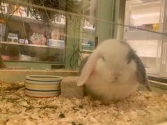 -龙猫仔乐园(惠福东路店)