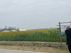 -中国天府农业博览园