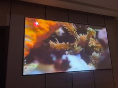 -唐宫足道·SPA·影院会馆(木渎店)