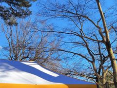 -三鹰之森吉卜力美术馆