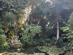 -中国科学院西双版纳热带植物园