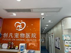 -创凡宠物医院·骨专科  猫科中心(西乡分院)