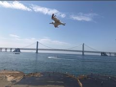 -星海湾跨海大桥