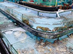 -顺风山庄(水濂山店)