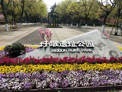 -圩墩遗址公园