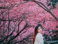 -重庆彩云湖湿地公园