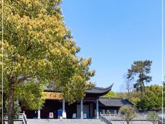 -阿育王寺