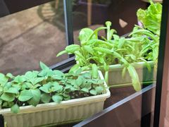 -番食园鲜食火锅(高新店)