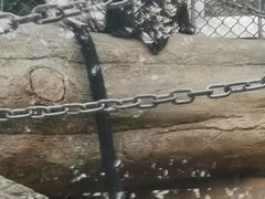 -泉州海丝野生动物世界