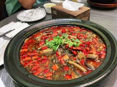 -土桥手掌鸡·26年灌县老味道(都江堰店)