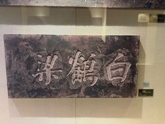 -白鹤梁水下博物馆