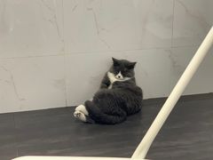-乐果甜心·潮汕冰室(南澳后宅分店)