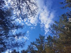 -帽儿山国家森林公园