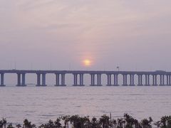 -宝安西湾红树林湿地公园