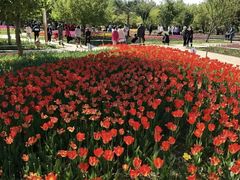 -长春公园(普阳街道)