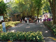 -广西壮族自治区药用植物园