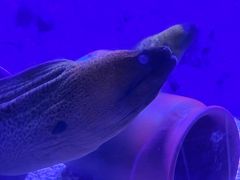 -上海海昌海洋公园