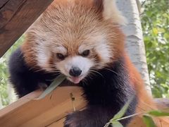 -北京野生动物园