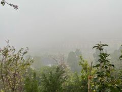 -凤岭儿童公园