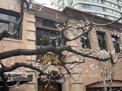 -铭家家宴·海鲜青岛菜·院子餐厅(燕岭路店)