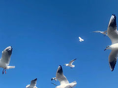 -海埂大坝