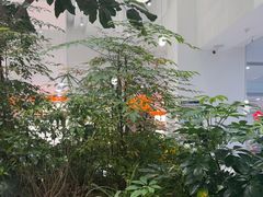 -大树餐厅(红旗街万达店)
