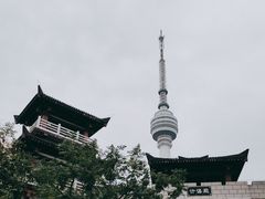 -龟山风景区-龟山电视塔