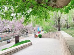 -海棠花溪(元大都城垣遗址公园)