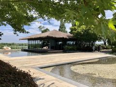 -逸林轩中餐厅(中信泰富朱家角锦江酒店)