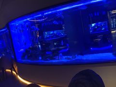 -上和臻品中国菜(花园街店)