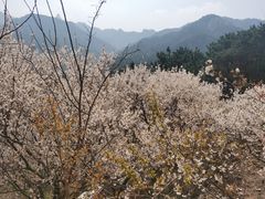 -葛子涧农家宴