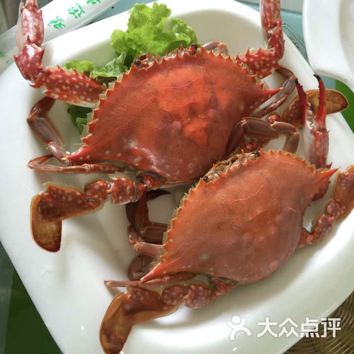 炊事班海味馆-炊事班海味馆图片-大连美食-大众点评网