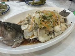 青花椒鲈鱼-聚福缘菜馆(隆昌路店)