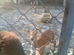 -长白岛森林公园