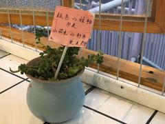 -岗上渣渣老火锅(两路口店)