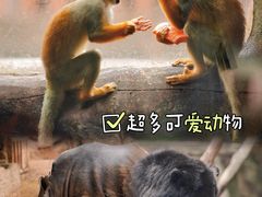 -长鹿旅游休博园