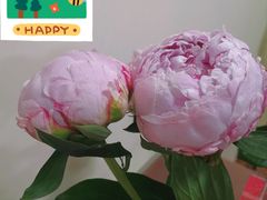 -循礼门鲜花花市(武汉循礼门店)