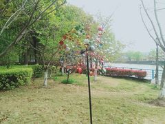 -高东镇樱花园