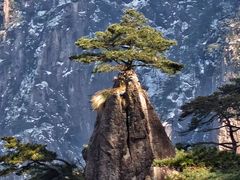 -黄山风景区