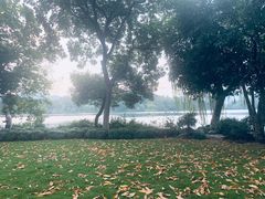 -苏堤停车场