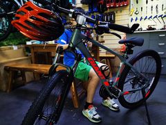 -GIANT捷安特自行车专卖店(金桥台儿庄路店)