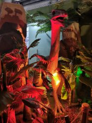 -恐龙探索乐园(磁器口店)