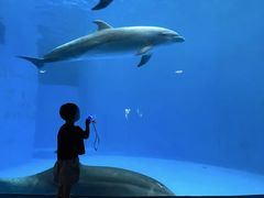 -海合安成都极地海洋公园