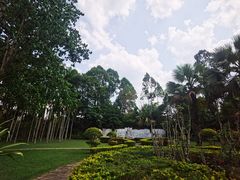 -中国科学院西双版纳热带植物园