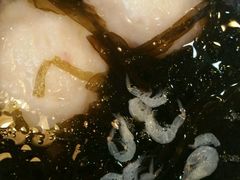 -百事佳烧鸭牛腩(上海虹桥站店)