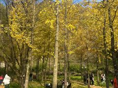-秦岭终南山世界地质公园翠华山景区