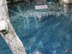 -蝴蝶泉公园