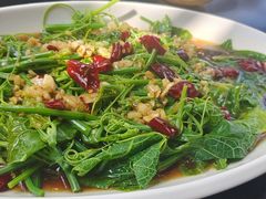 白灼龙须菜-杨家汀州韵(万达店)