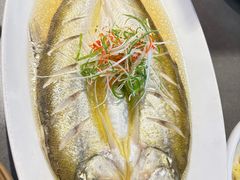 清蒸白鱼-姑苏家宴·苏帮菜·松鼠桂鱼(苏州总店)