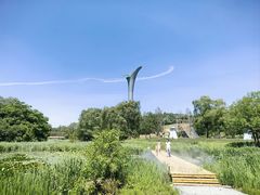 -沈阳植物园